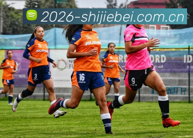 2026世界盃 热门平台推荐与实时更新内容全站App